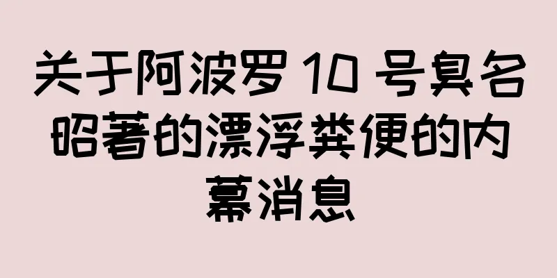 关于阿波罗 10 号臭名昭著的漂浮粪便的内幕消息