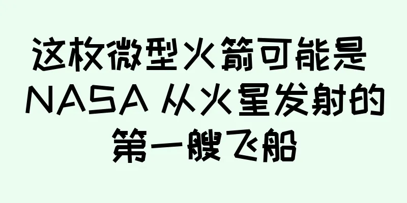 这枚微型火箭可能是 NASA 从火星发射的第一艘飞船