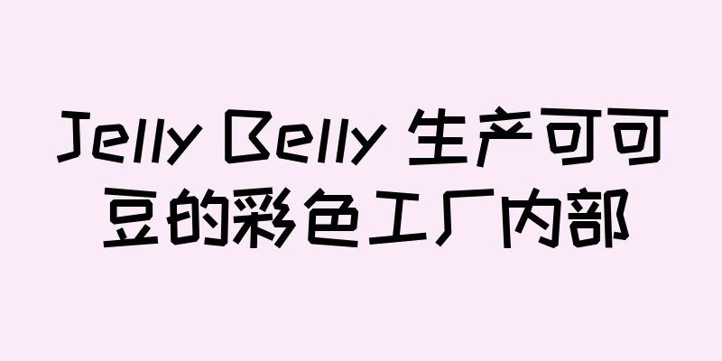 Jelly Belly 生产可可豆的彩色工厂内部