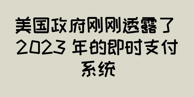 美国政府刚刚透露了 2023 年的即时支付系统