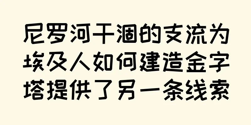 尼罗河干涸的支流为埃及人如何建造金字塔提供了另一条线索