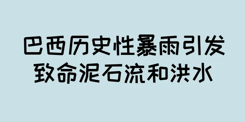 巴西历史性暴雨引发致命泥石流和洪水