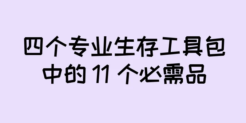 四个专业生存工具包中的 11 个必需品