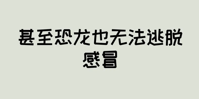甚至恐龙也无法逃脱感冒