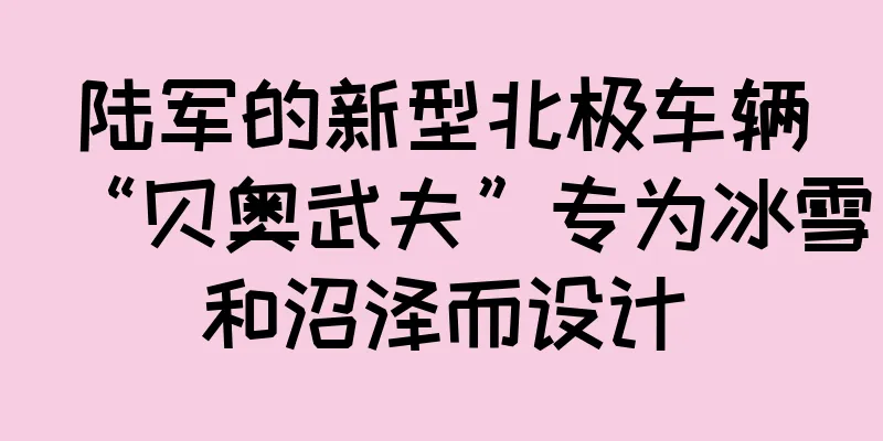 陆军的新型北极车辆“贝奥武夫”专为冰雪和沼泽而设计