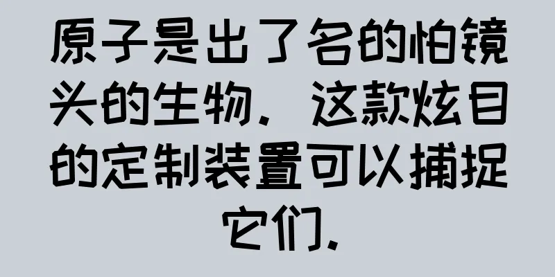 原子是出了名的怕镜头的生物。这款炫目的定制装置可以捕捉它们。