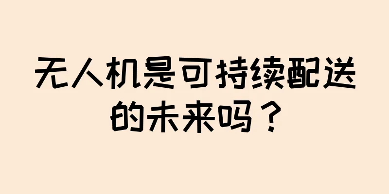 无人机是可持续配送的未来吗？