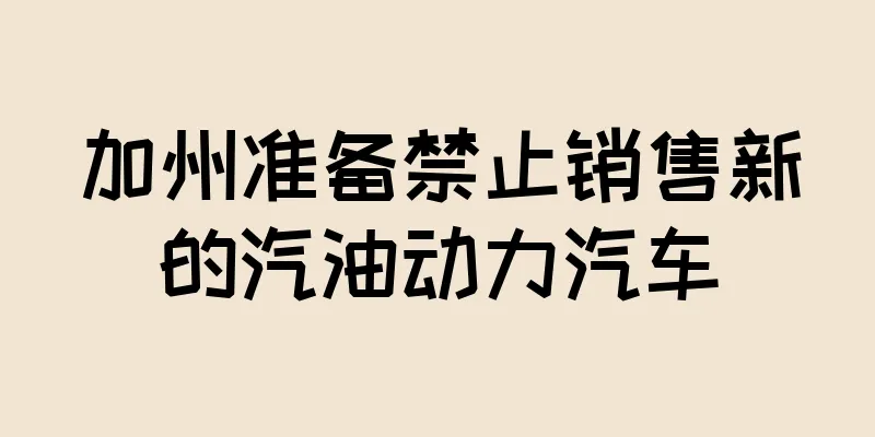 加州准备禁止销售新的汽油动力汽车