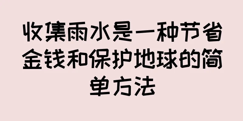 收集雨水是一种节省金钱和保护地球的简单方法