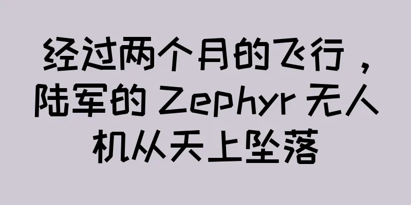 经过两个月的飞行，陆军的 Zephyr 无人机从天上坠落