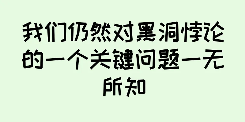 我们仍然对黑洞悖论的一个关键问题一无所知