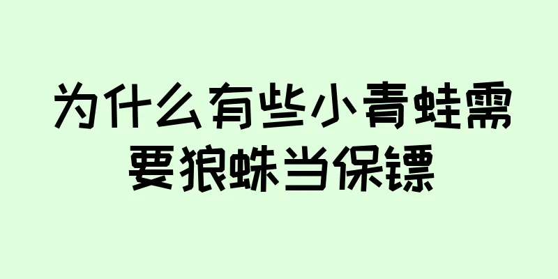 为什么有些小青蛙需要狼蛛当保镖