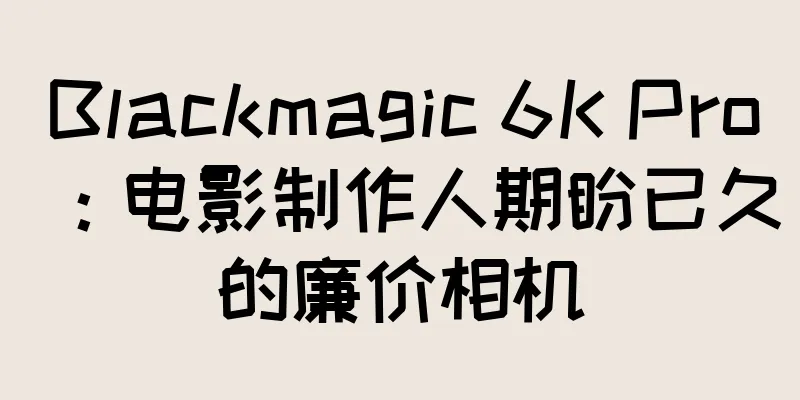 Blackmagic 6K Pro：电影制作人期盼已久的廉价相机