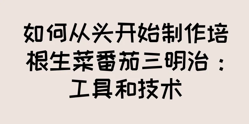 如何从头开始制作培根生菜番茄三明治：工具和技术