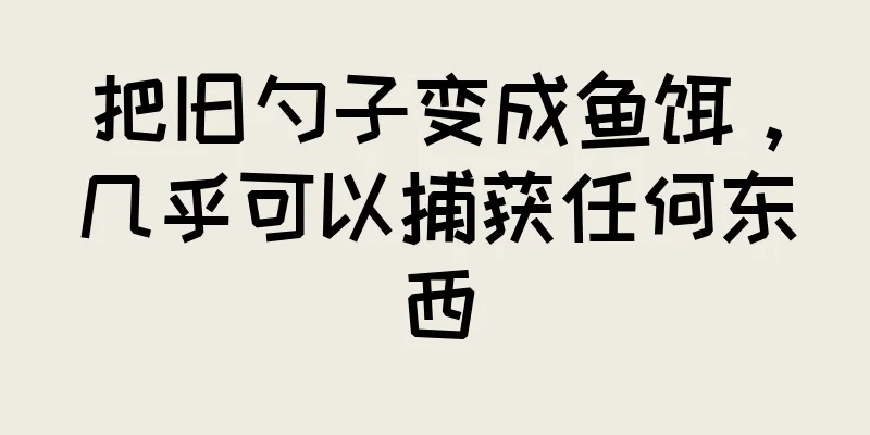 把旧勺子变成鱼饵，几乎可以捕获任何东西