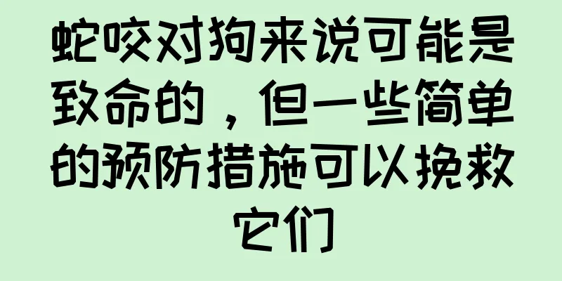 蛇咬对狗来说可能是致命的，但一些简单的预防措施可以挽救它们