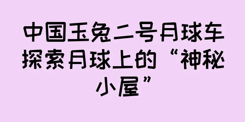 中国玉兔二号月球车探索月球上的“神秘小屋”