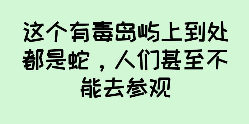 这个有毒岛屿上到处都是蛇，人们甚至不能去参观