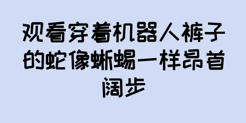 观看穿着机器人裤子的蛇像蜥蜴一样昂首阔步