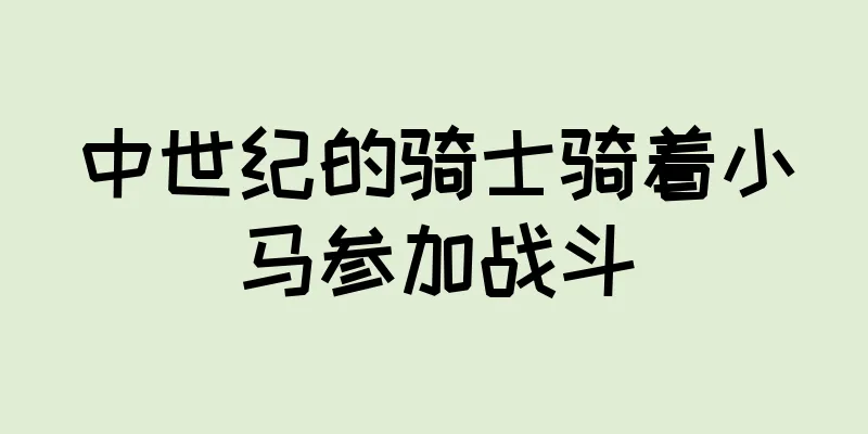 中世纪的骑士骑着小马参加战斗