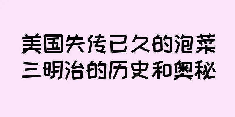 美国失传已久的泡菜三明治的历史和奥秘