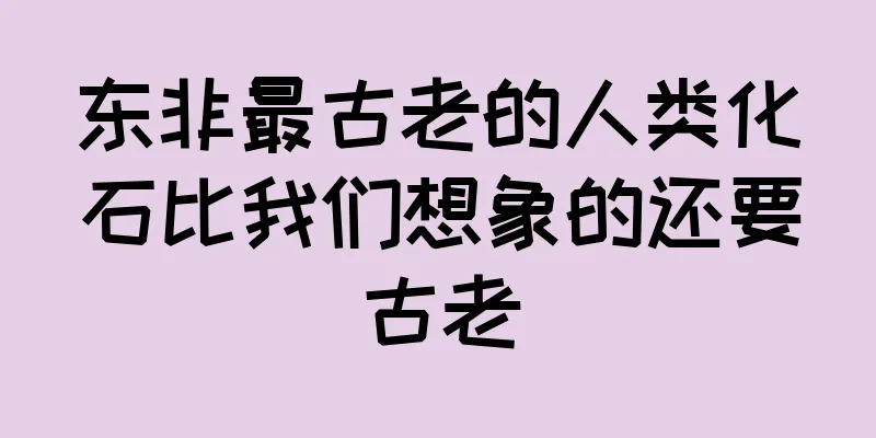 东非最古老的人类化石比我们想象的还要古老