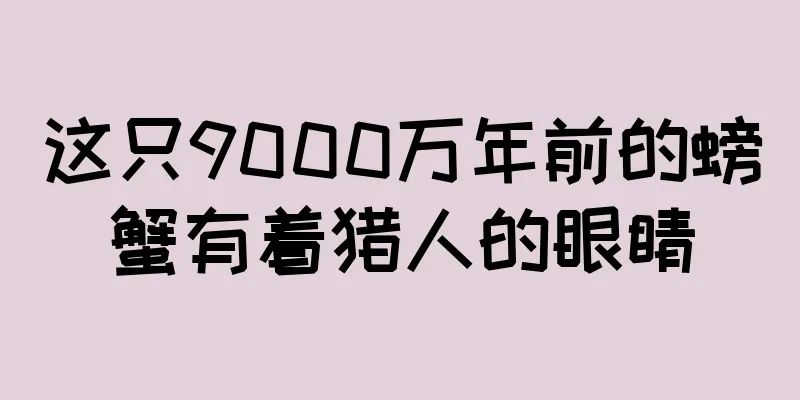 这只9000万年前的螃蟹有着猎人的眼睛