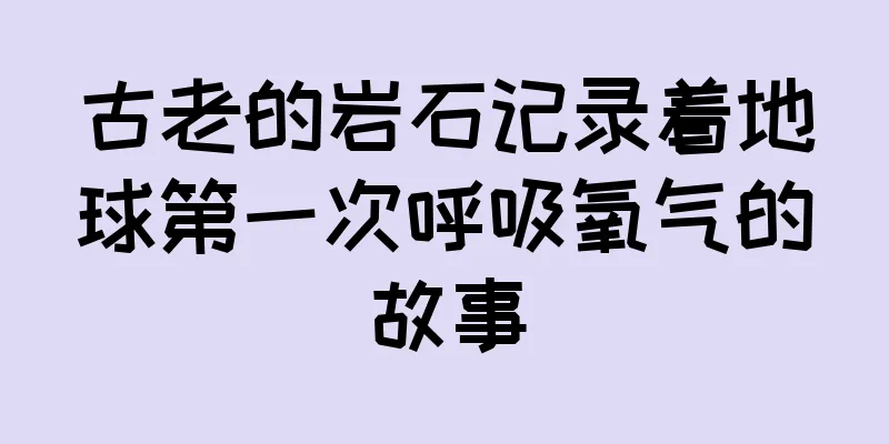 古老的岩石记录着地球第一次呼吸氧气的故事