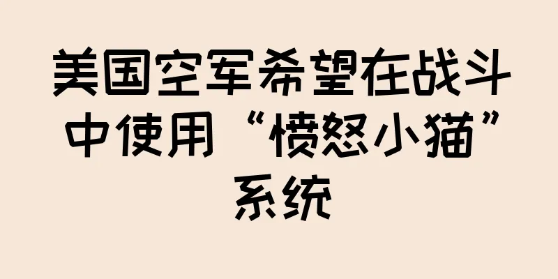 美国空军希望在战斗中使用“愤怒小猫”系统