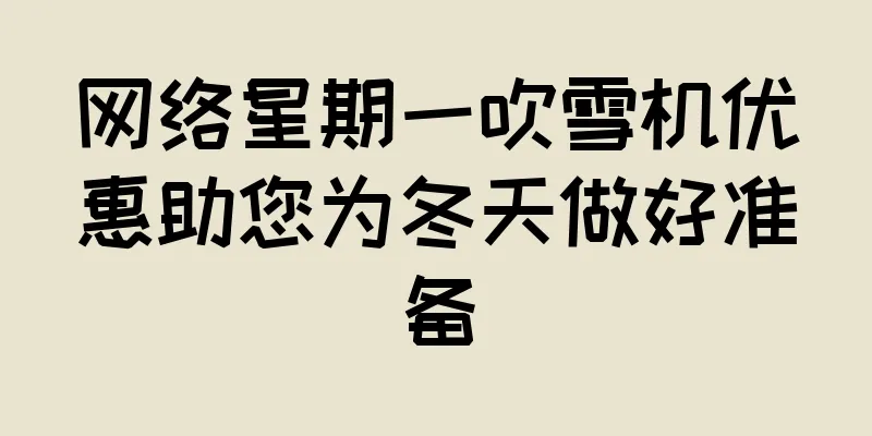 网络星期一吹雪机优惠助您为冬天做好准备