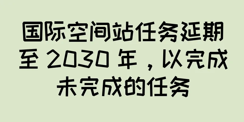 国际空间站任务延期至 2030 年，以完成未完成的任务