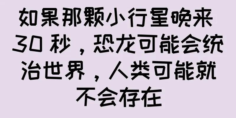 如果那颗小行星晚来 30 秒，恐龙可能会统治世界，人类可能就不会存在