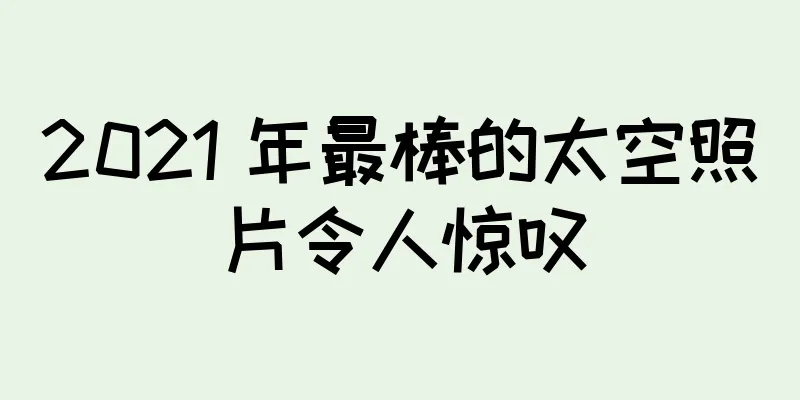 2021 年最棒的太空照片令人惊叹