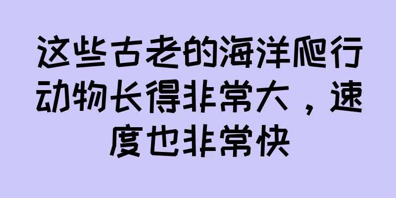 这些古老的海洋爬行动物长得非常大，速度也非常快