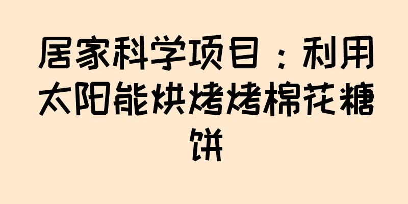 居家科学项目：利用太阳能烘烤烤棉花糖饼
