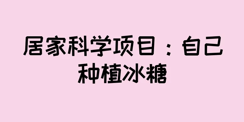 居家科学项目：自己种植冰糖