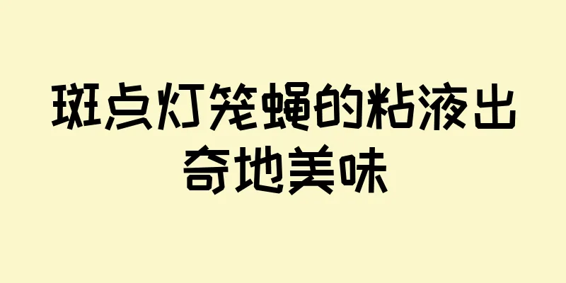 斑点灯笼蝇的粘液出奇地美味