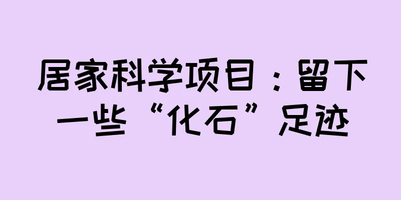 居家科学项目：留下一些“化石”足迹