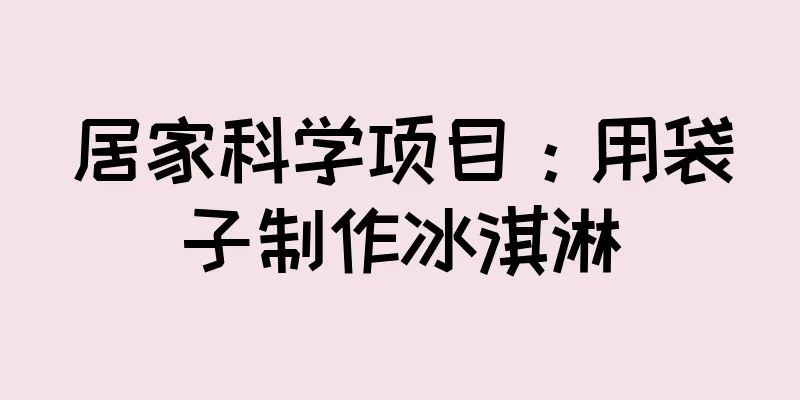 居家科学项目：用袋子制作冰淇淋