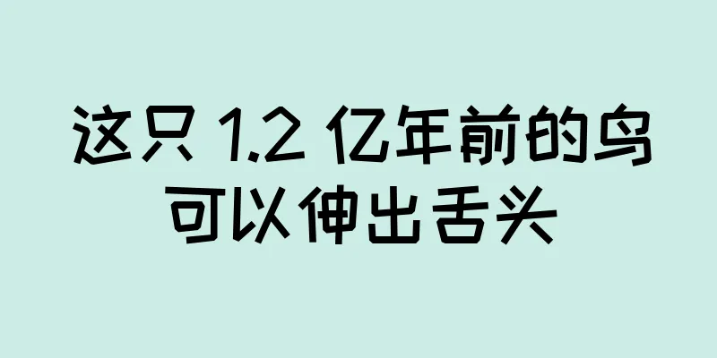 这只 1.2 亿年前的鸟可以伸出舌头