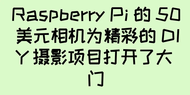Raspberry Pi 的 50 美元相机为精彩的 DIY 摄影项目打开了大门