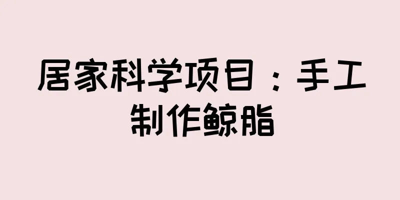 居家科学项目：手工制作鲸脂