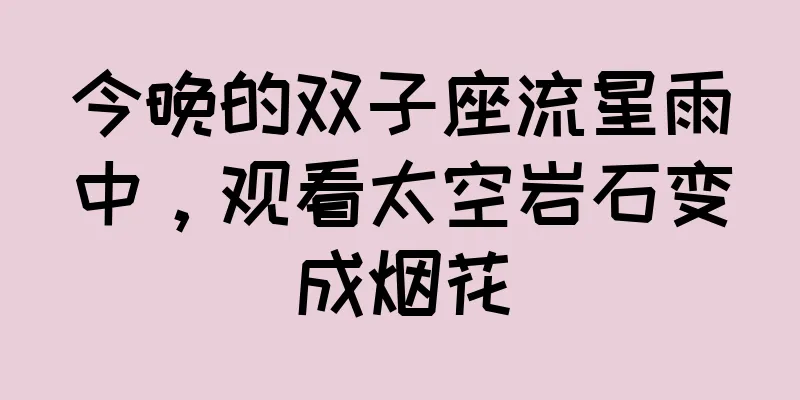 今晚的双子座流星雨中，观看太空岩石变成烟花