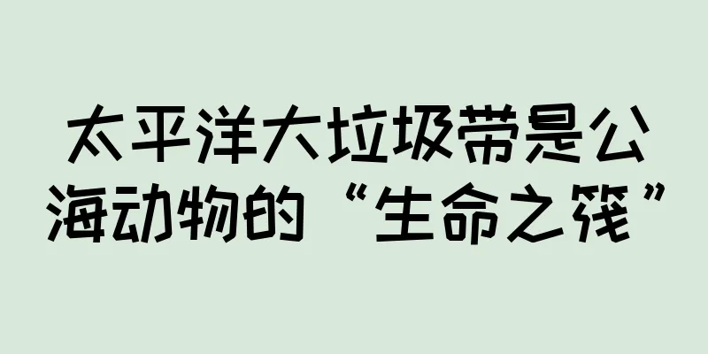 太平洋大垃圾带是公海动物的“生命之筏”