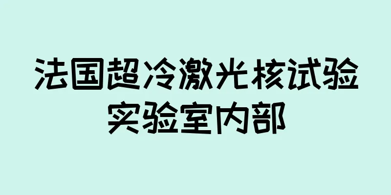 法国超冷激光核试验实验室内部