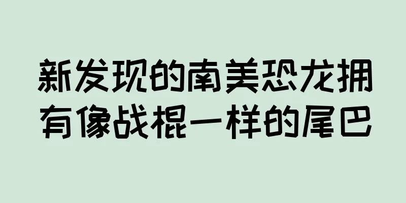 新发现的南美恐龙拥有像战棍一样的尾巴