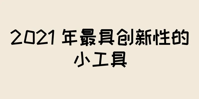 2021 年最具创新性的小工具