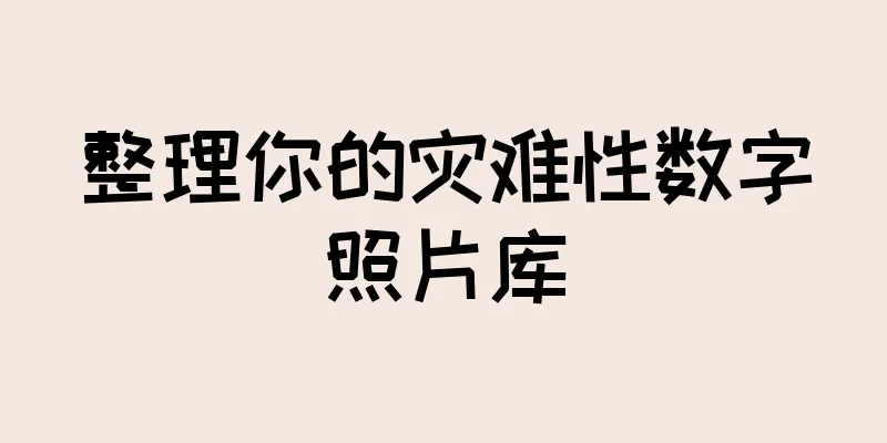 整理你的灾难性数字照片库