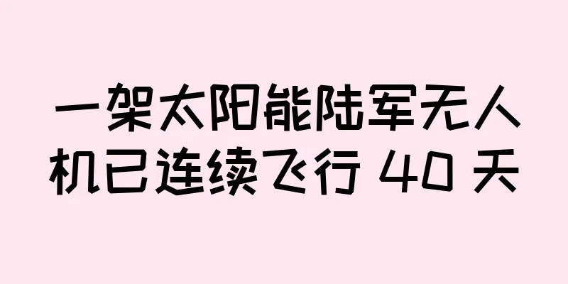 一架太阳能陆军无人机已连续飞行 40 天