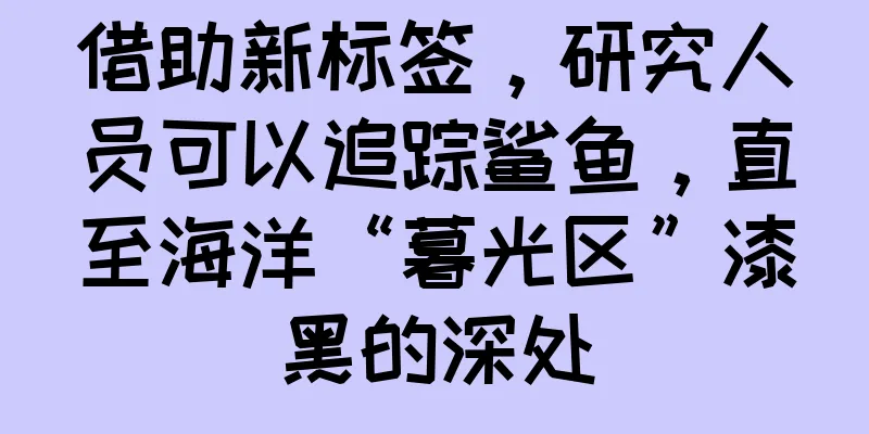 借助新标签，研究人员可以追踪鲨鱼，直至海洋“暮光区”漆黑的深处